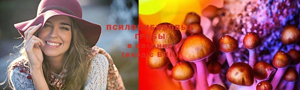 винт Алзамай