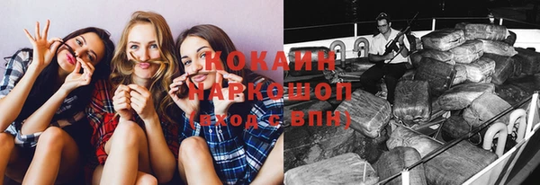 винт Алзамай