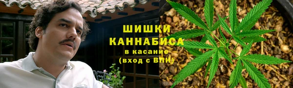 винт Алзамай